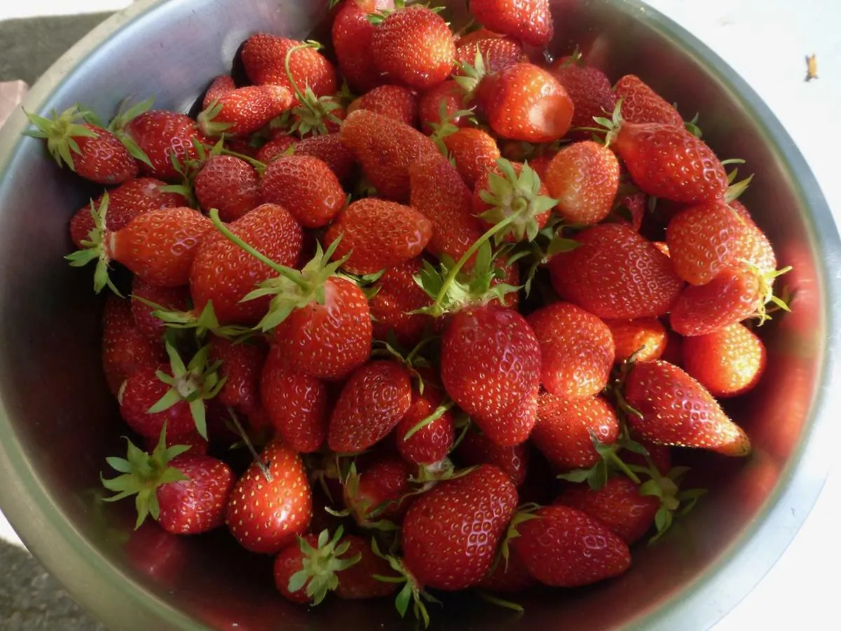 ** Bed & Breakfast La Gracette Bed and Breakfast Aix-en-Provence Frankrijk